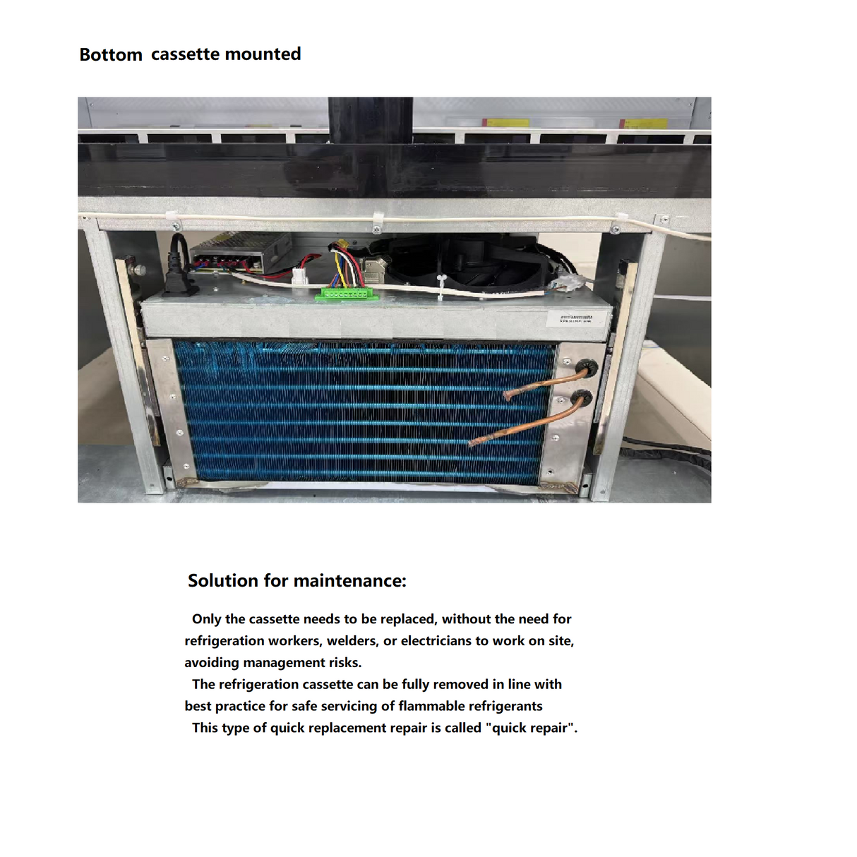 BF1000S commercial upright display freezer