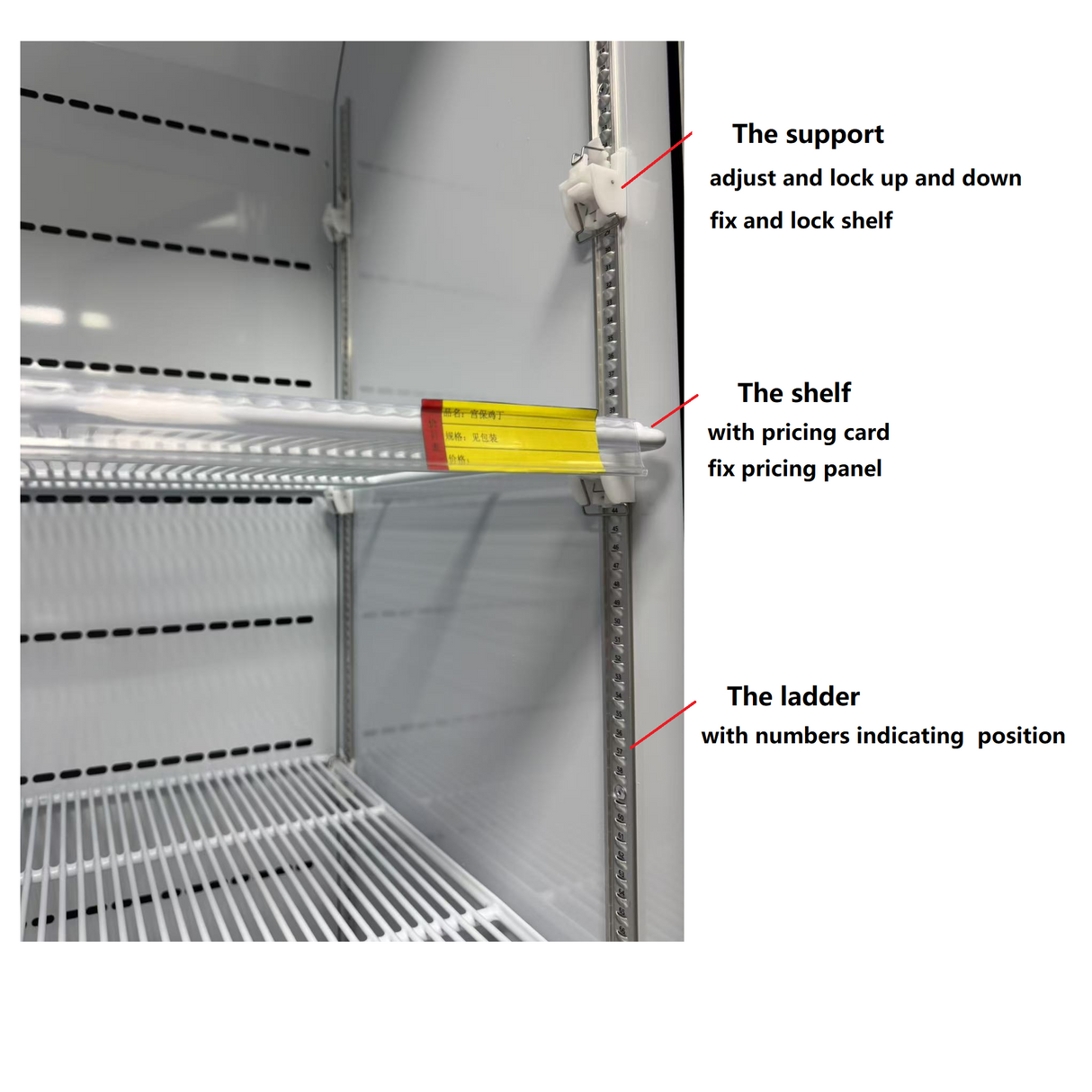 BF1000S commercial upright display freezer