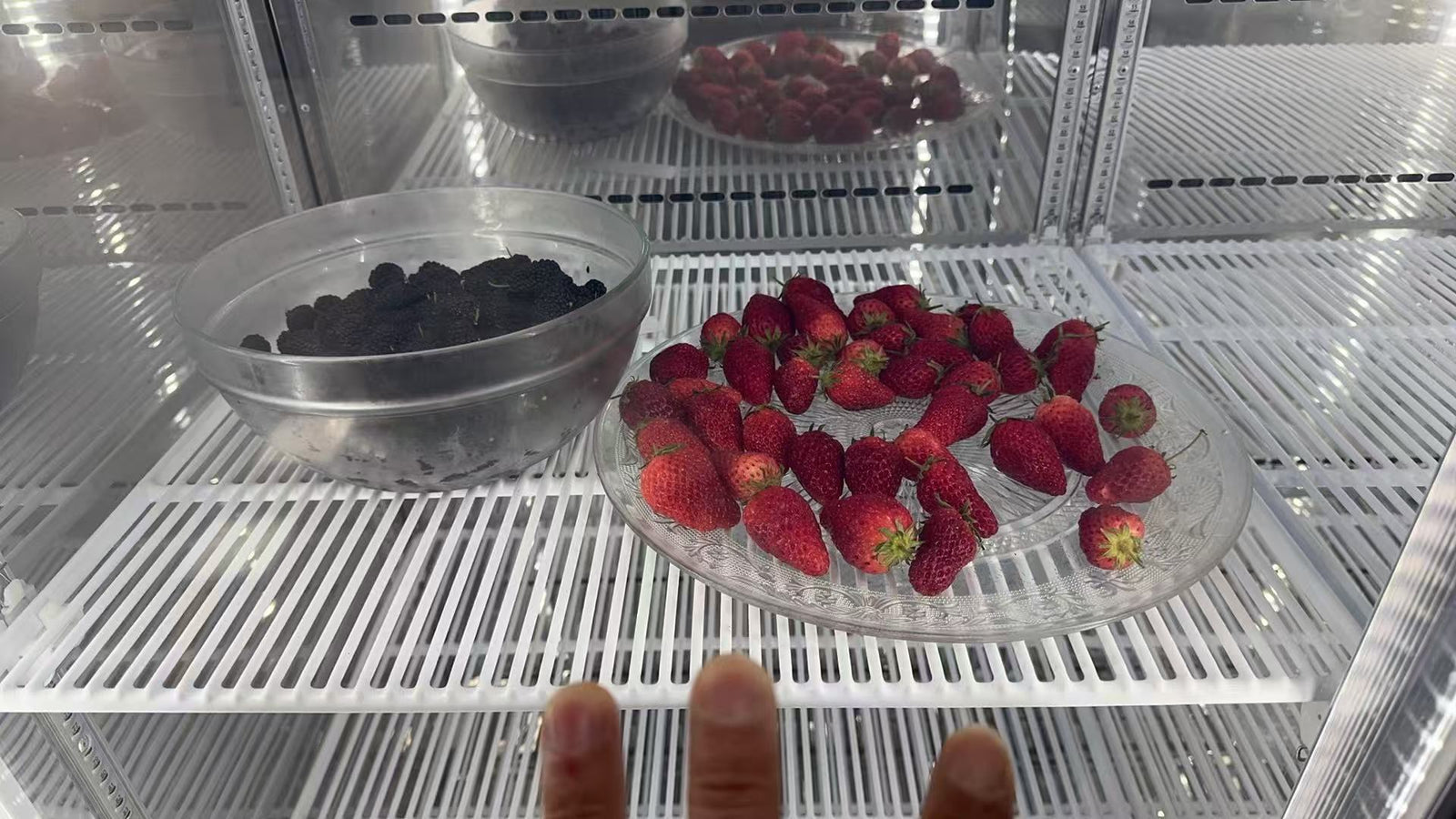 Research fresh fruit on plasma coupled temperature field