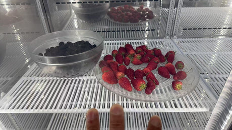 Research fresh fruit on plasma coupled temperature field